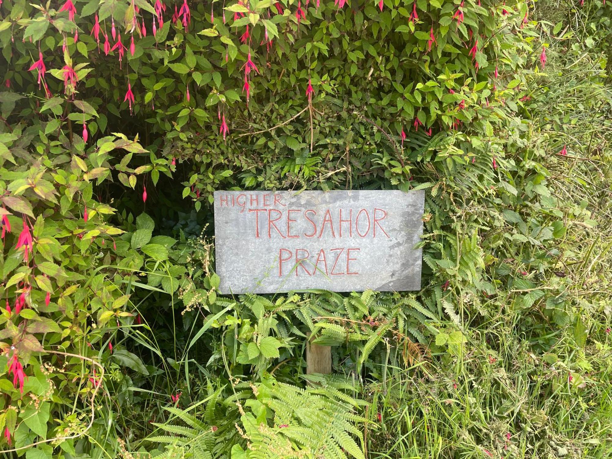 The Quarry Caravan Falmouth Eksteriør billede